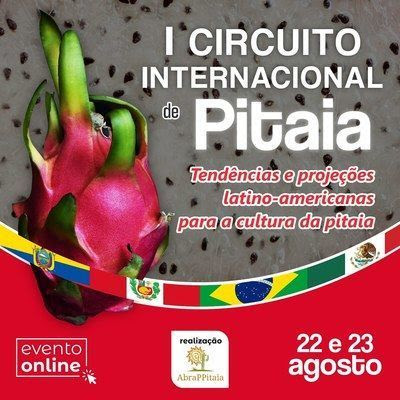 I circuito internacional de pitaia