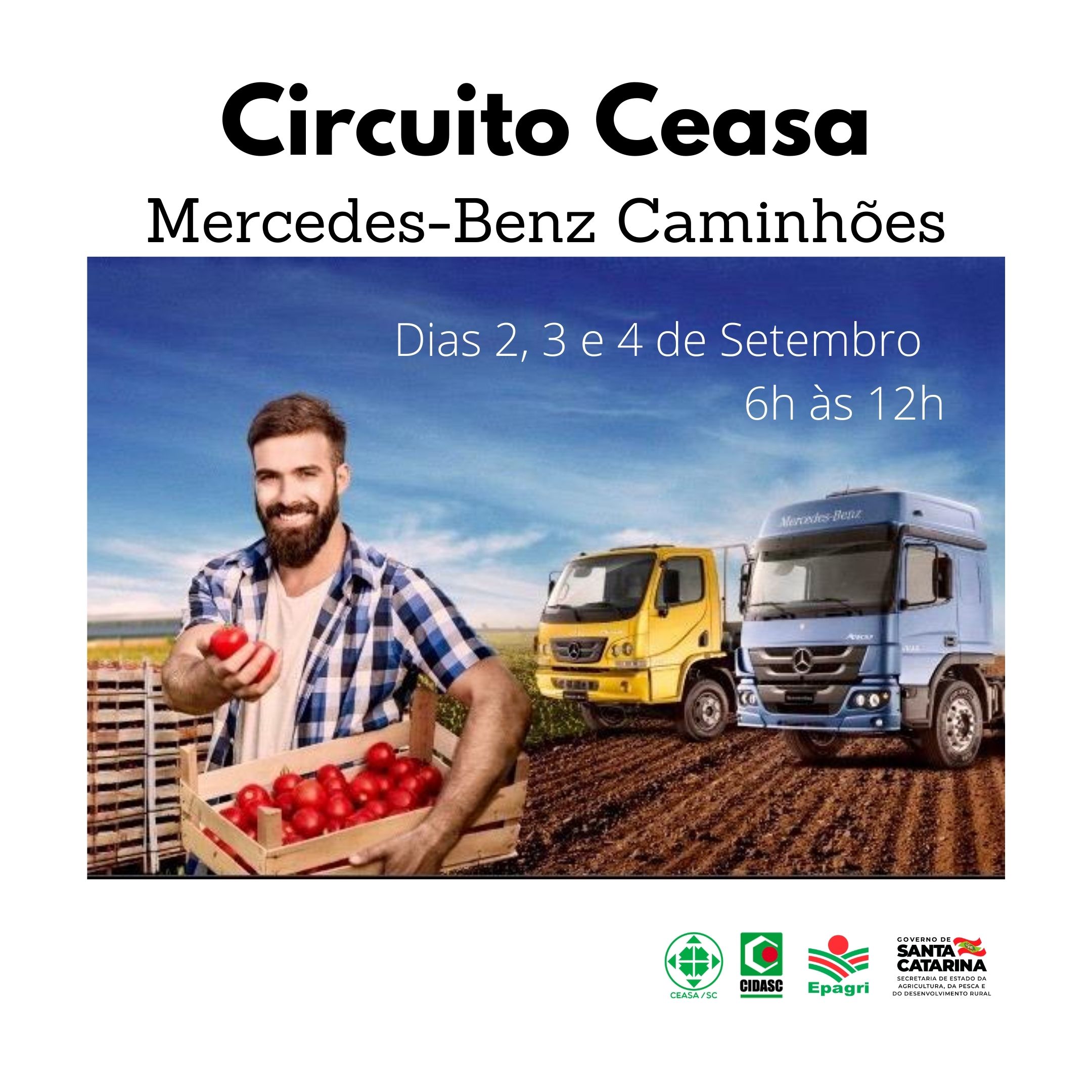 card circuito ceasa