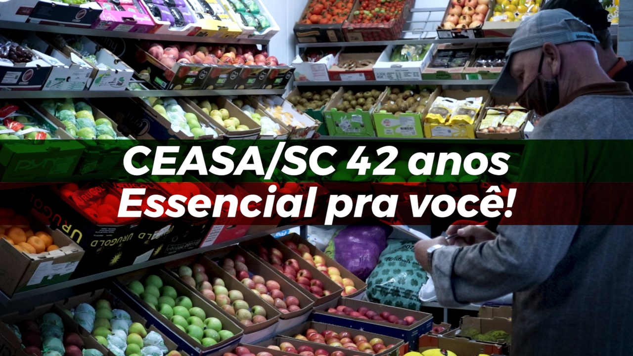 ceasa 42 anos