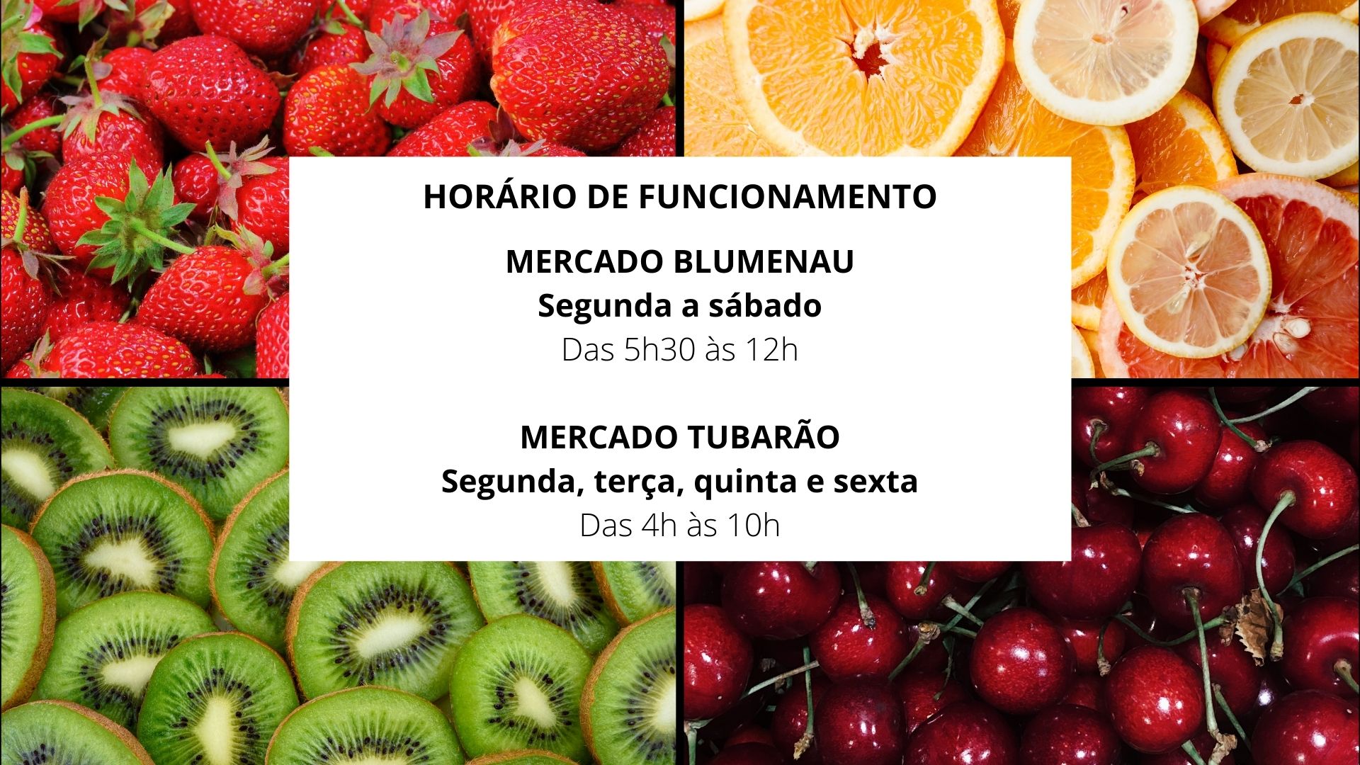 ceasa horario mercado blumenau tubarao