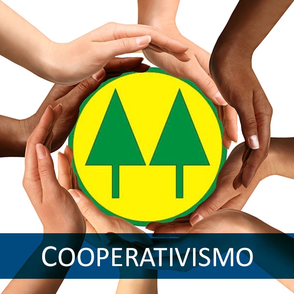 cooperativismo