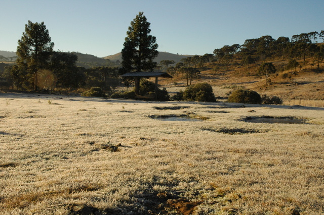 frio riscos miolo