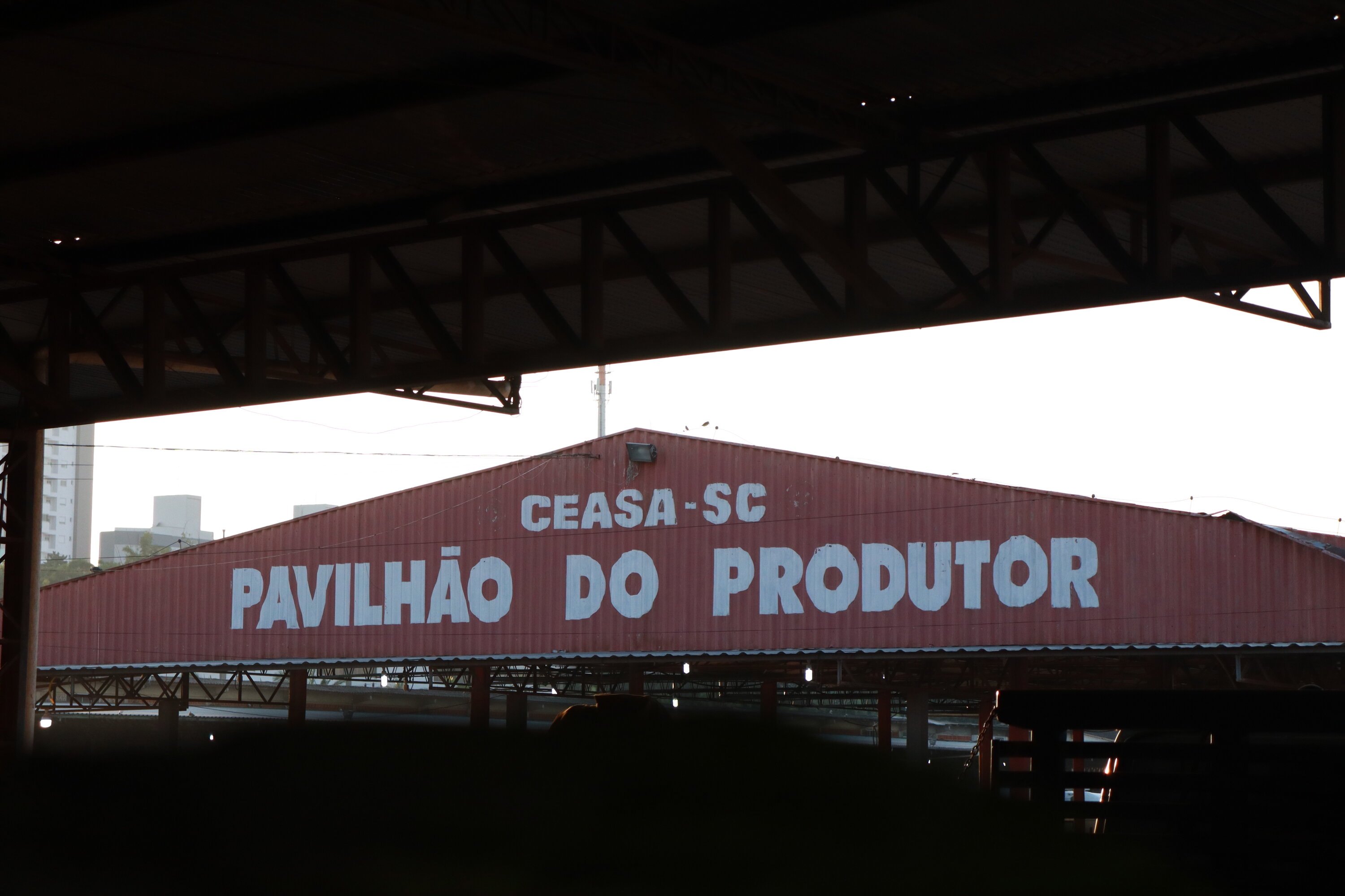 rsz pavilhao produtor