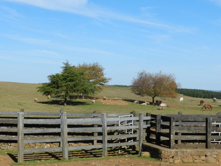 rural cadastro