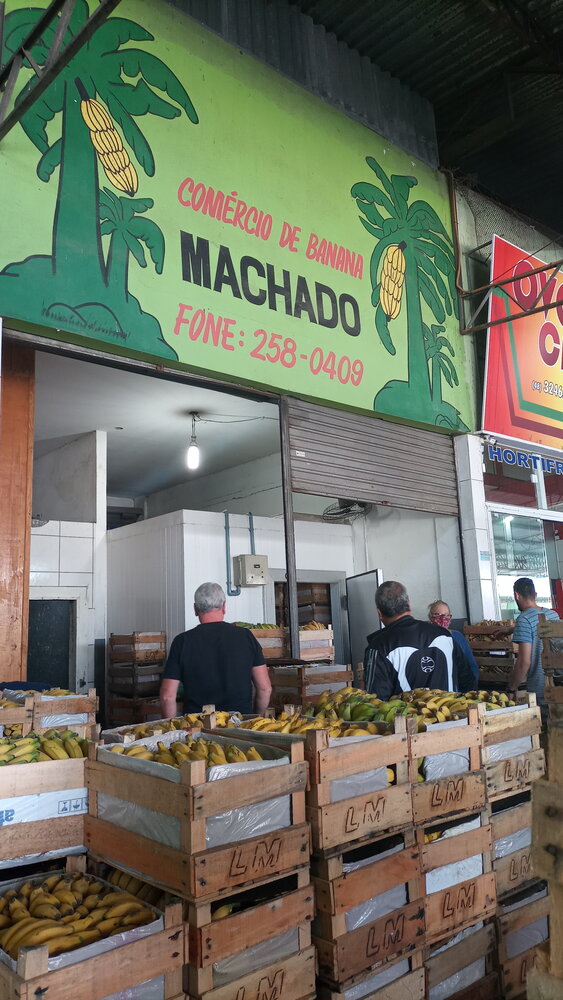 101 bananas machado