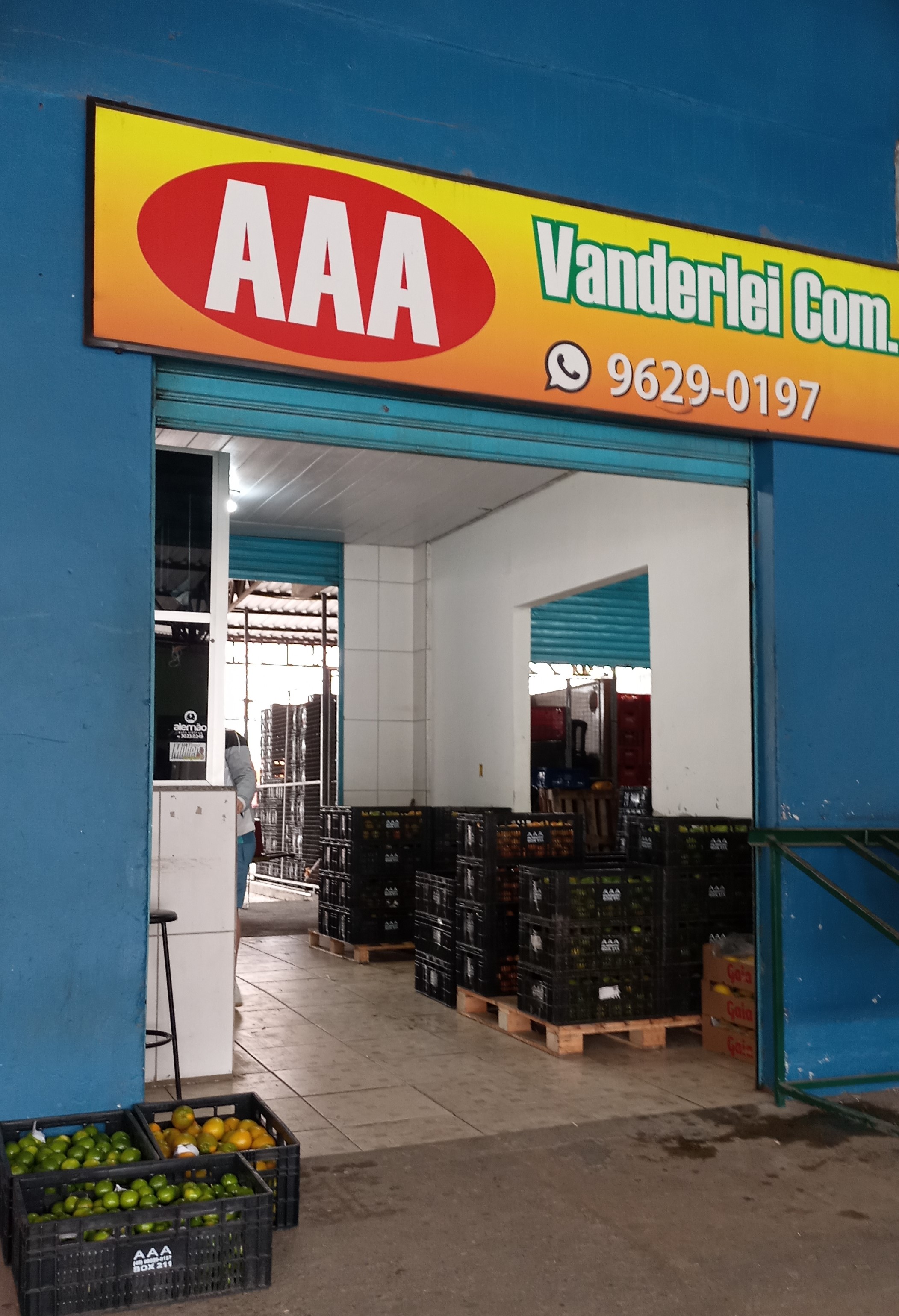 211 aaa vanderlei bernardete assing