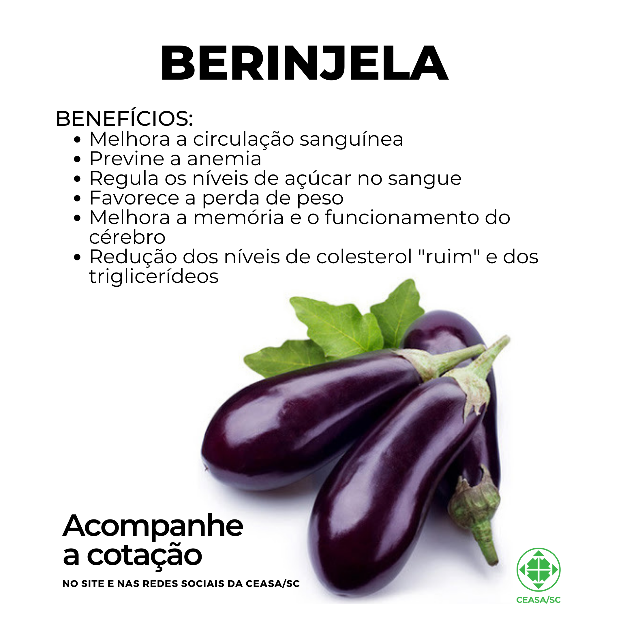 Berinjela