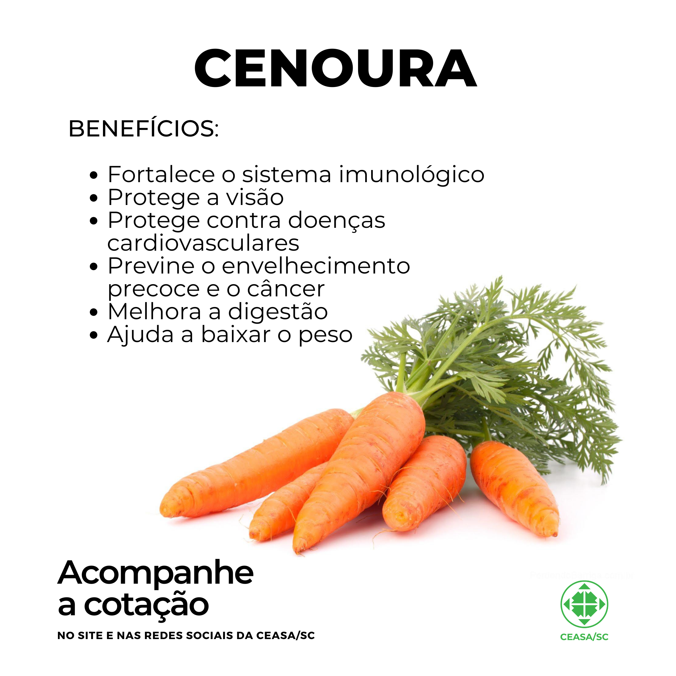 cenoura