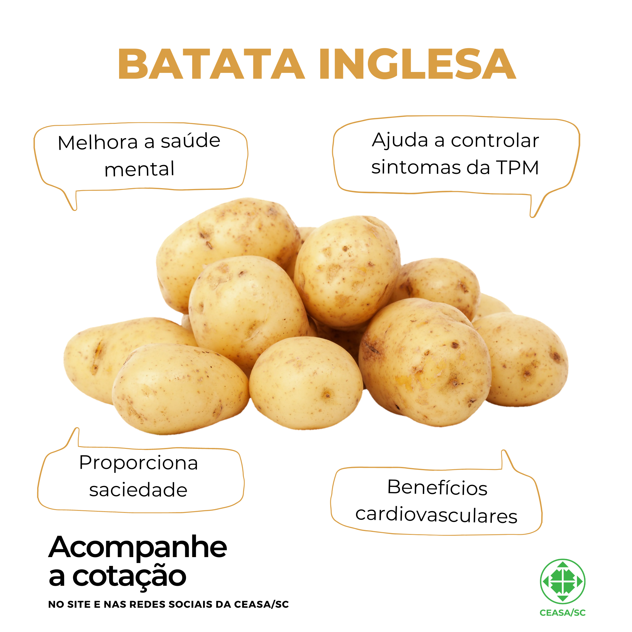 batata inglesa card