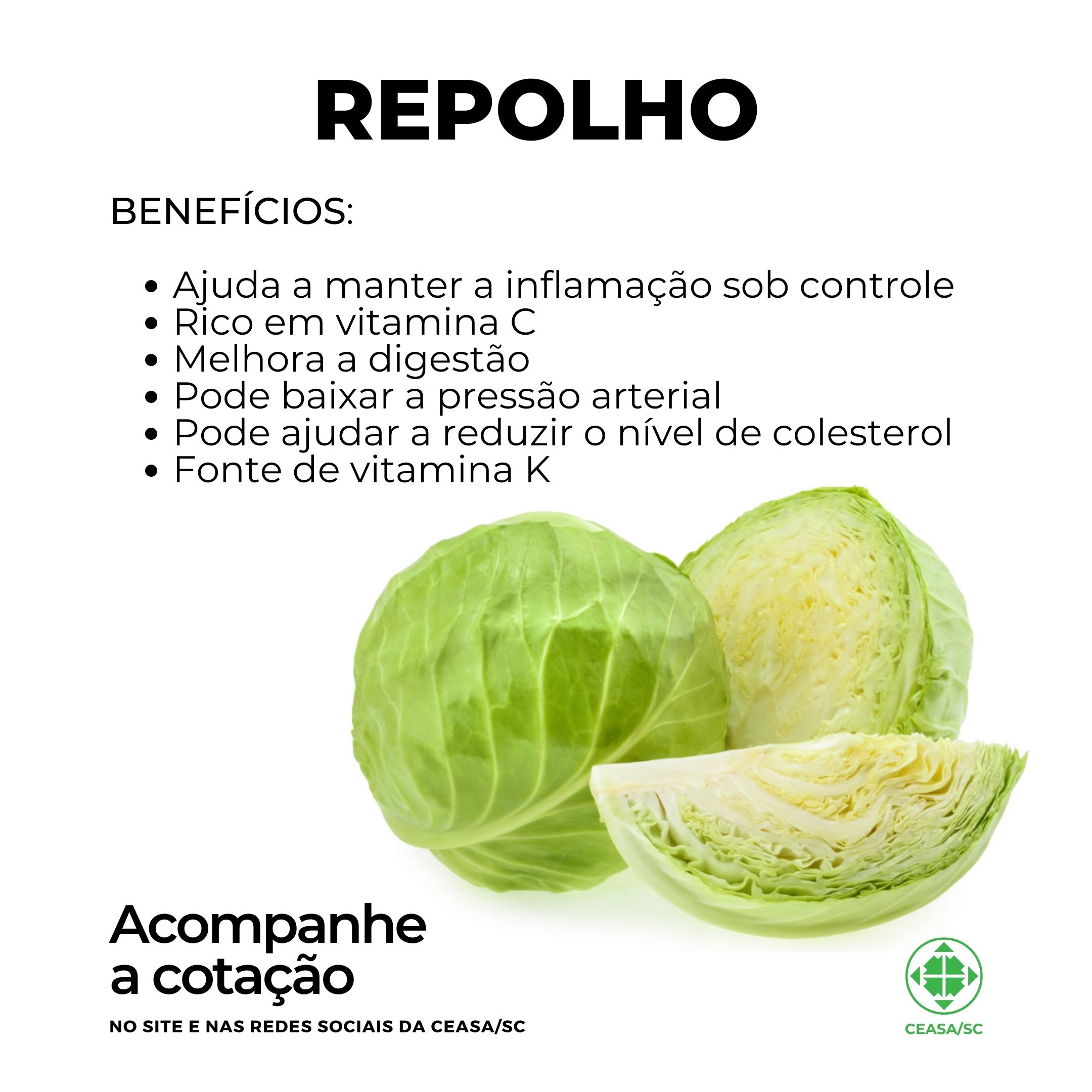 repolho card